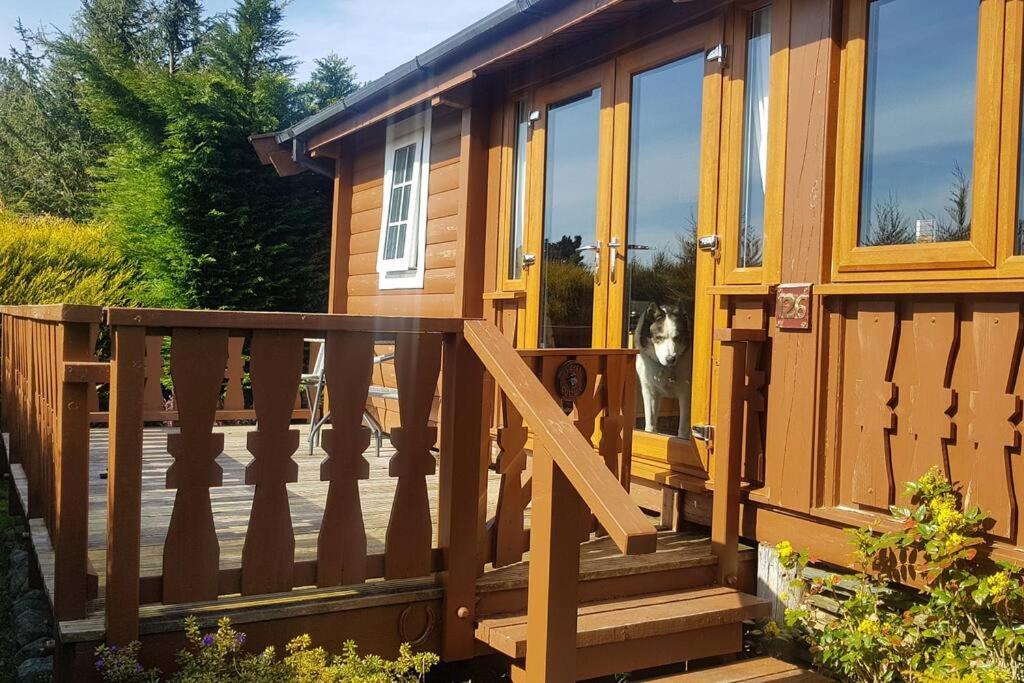 Cabin Apartamento Trawsfynydd Exterior foto