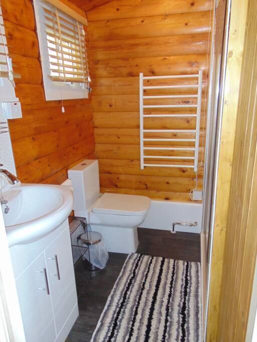 Cabin Apartamento Trawsfynydd Exterior foto